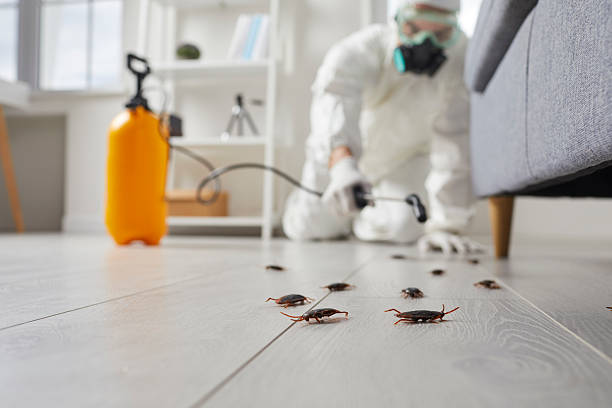 Commercial Kitchen Cockroach Control in Brundidge